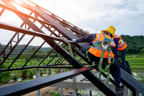 Best Roofing Contractor Near Me  in Munfordville, KY