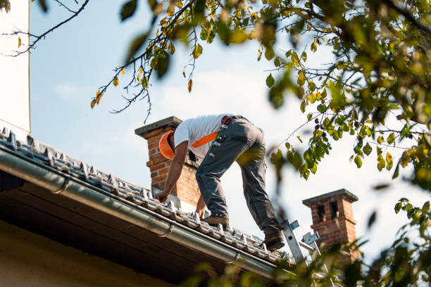 Best Commercial Roofing Services  in Munfordville, KY