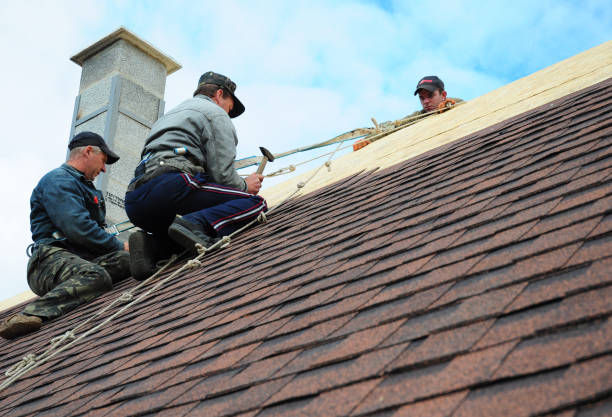Best Residential Roofing Contractor  in Munfordville, KY